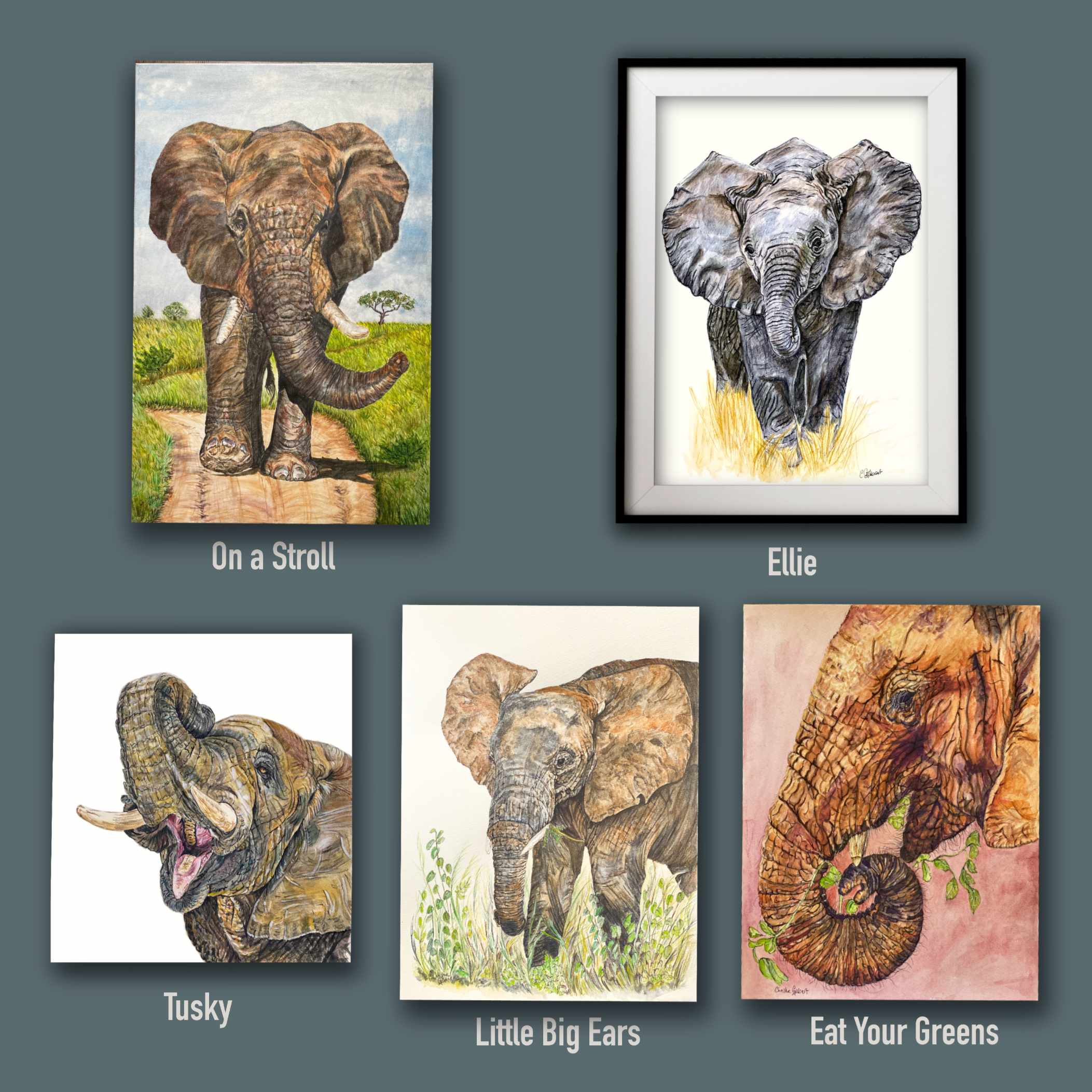 5 different portraits of my elephant collection