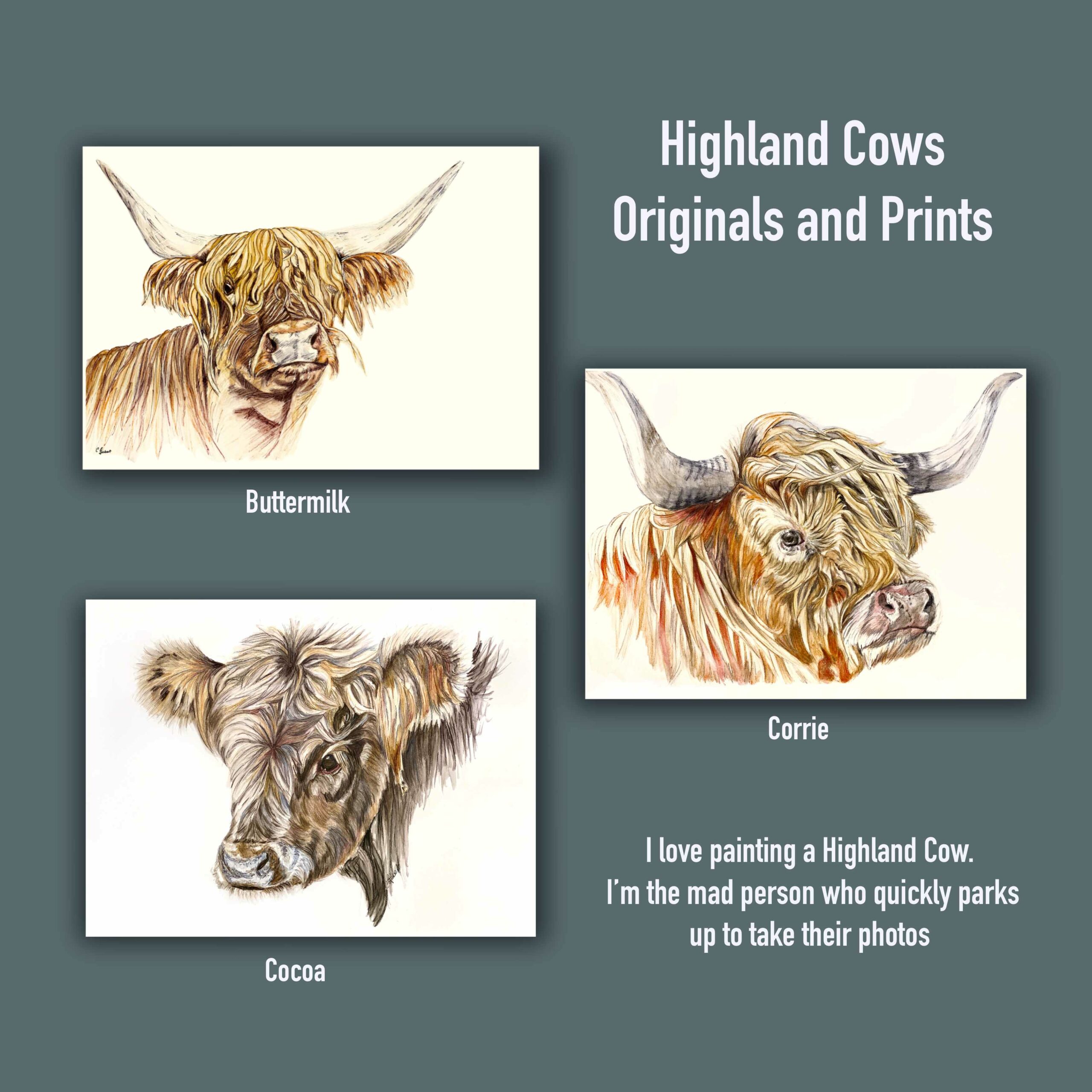 3 highland cow  pieces of art . Corrie, Buttermilk and Cocoa