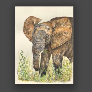 Elephant Art-Little Big Ears-Original