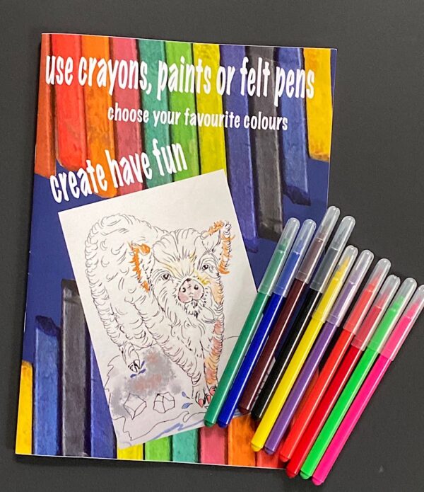 Create book with feltpens