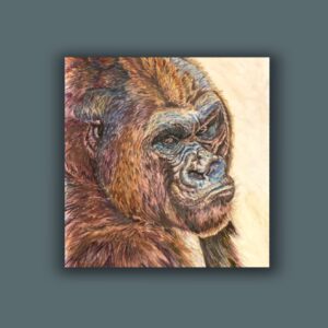Chimpanzee and Gorilla Original Art