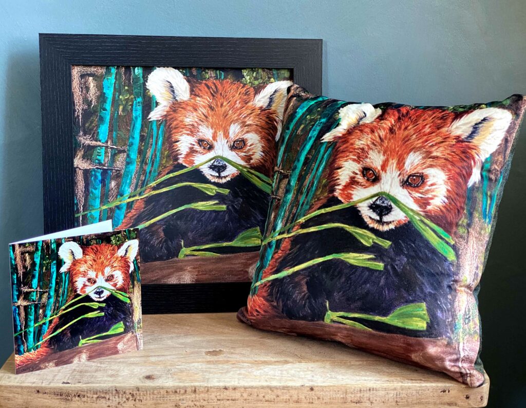 Red bamboo sat amongst the green bamboo. Artwork on a cushion, card and a framed canvas print 