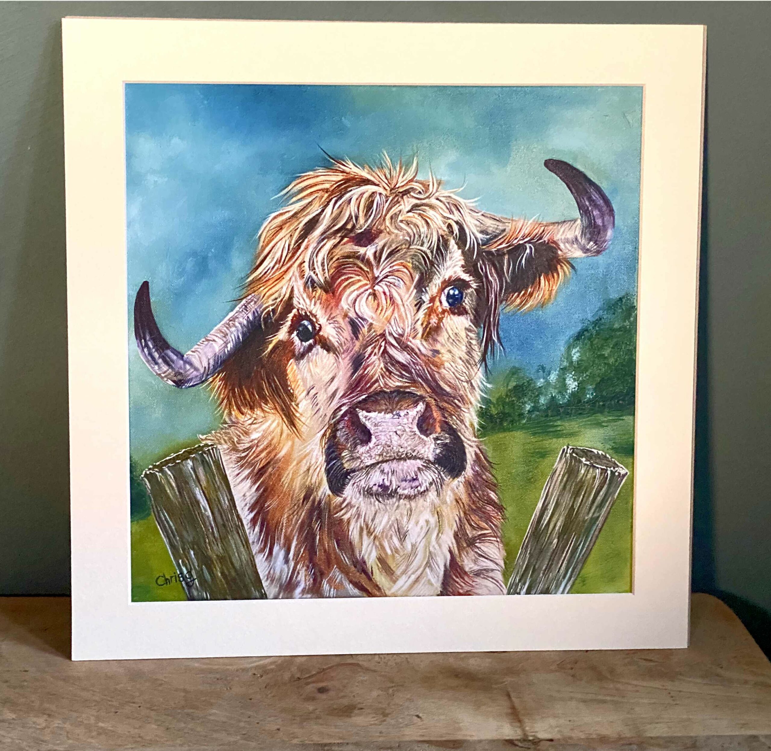 Fluff highland coo printed on Matt photo paper and mounted