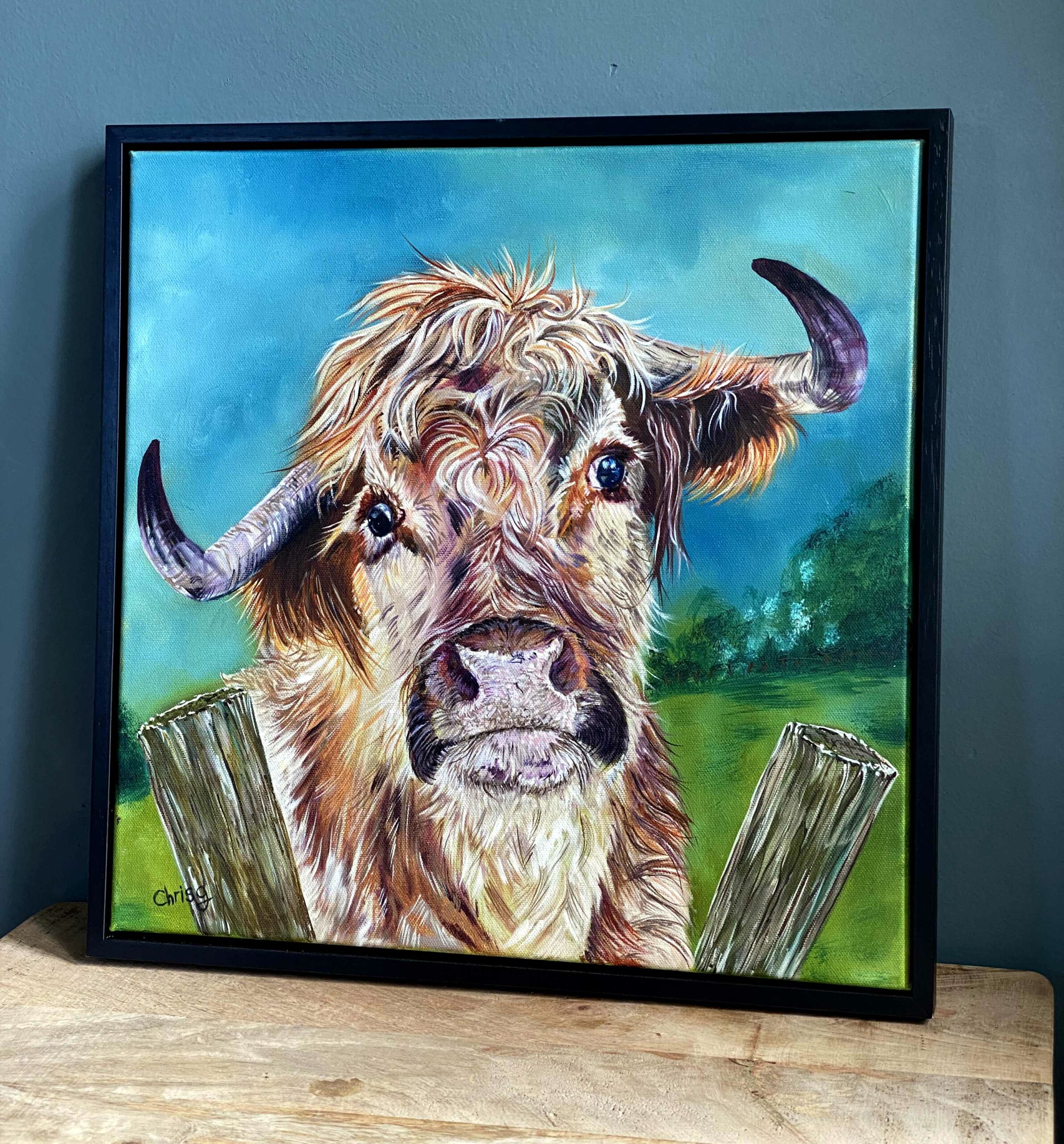 Fluff is a highland bullock. The original artwork is an oil painting 