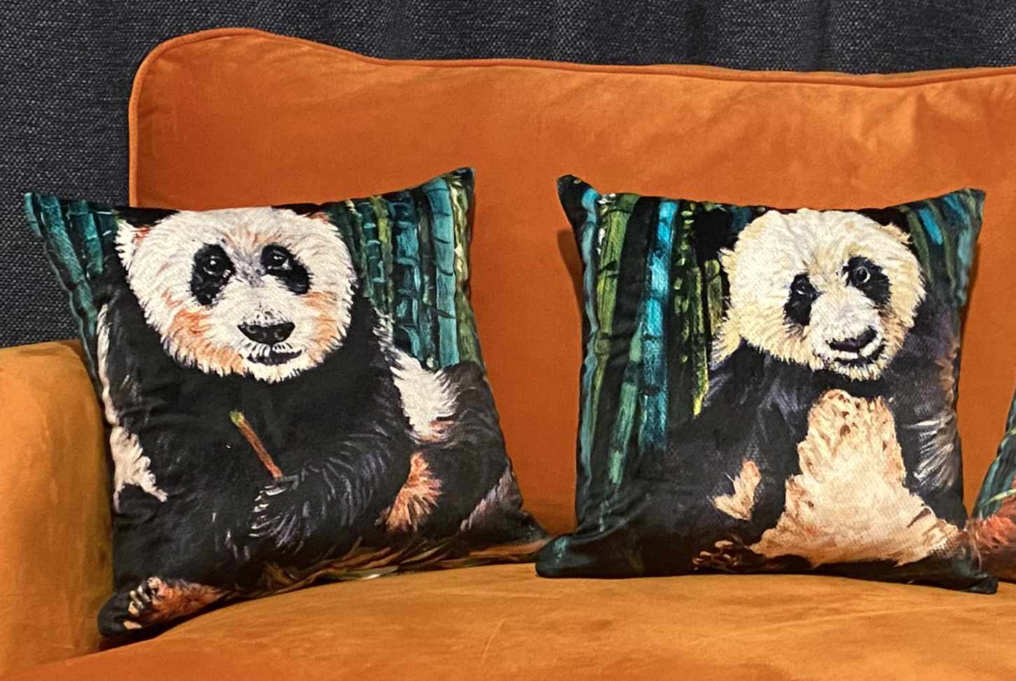 Giant Panda, Pumpkin and Squash on soft velvet cushions 
