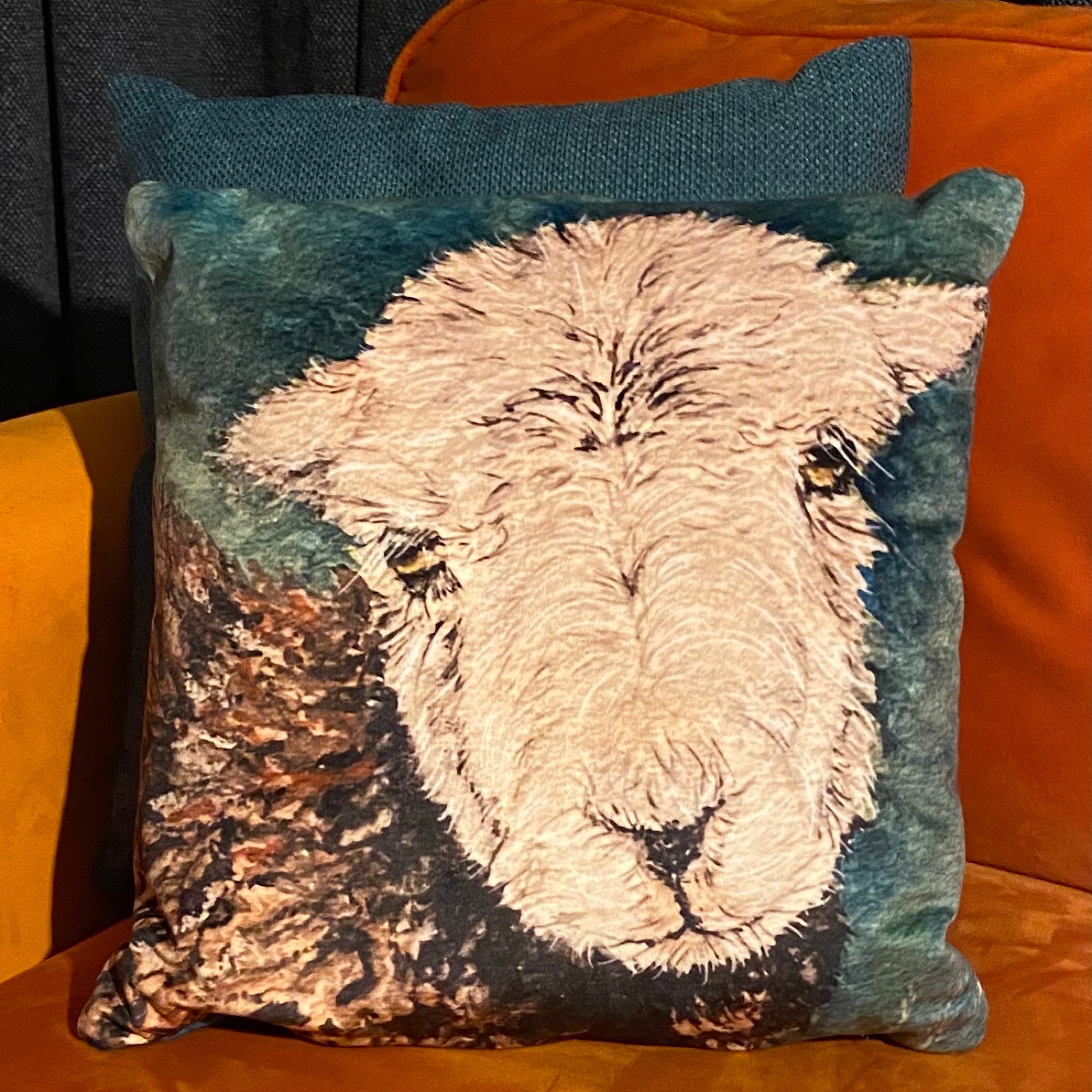 “Loch” is a cute Hardwick sheep on a soft velvet cushion. Teal coloured background to the portrait of the sheep