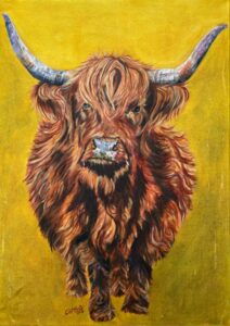 Highland cow wall art unmounted print 