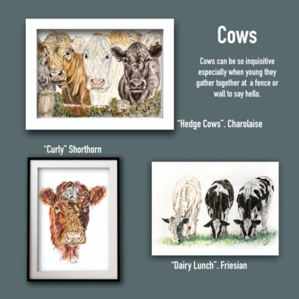 Cow Art Prints