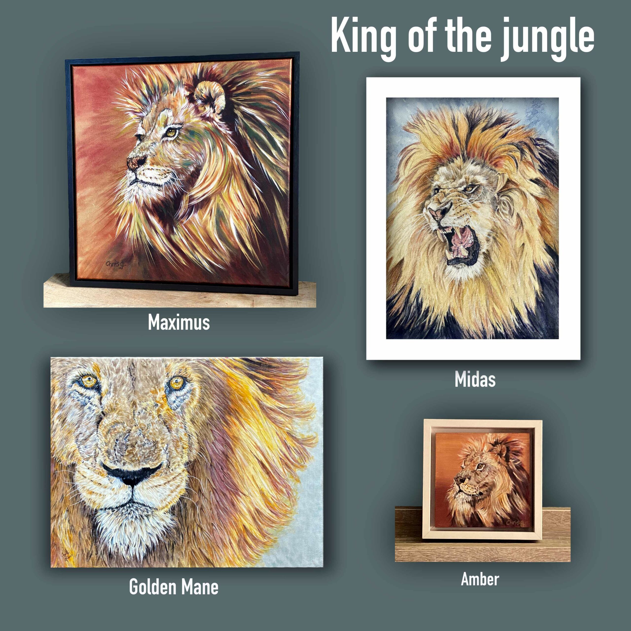 Picture for wildlife page, 4 artworks of male lions, kings of the jungle . Maximus, Midas ,Golden mane and Amber