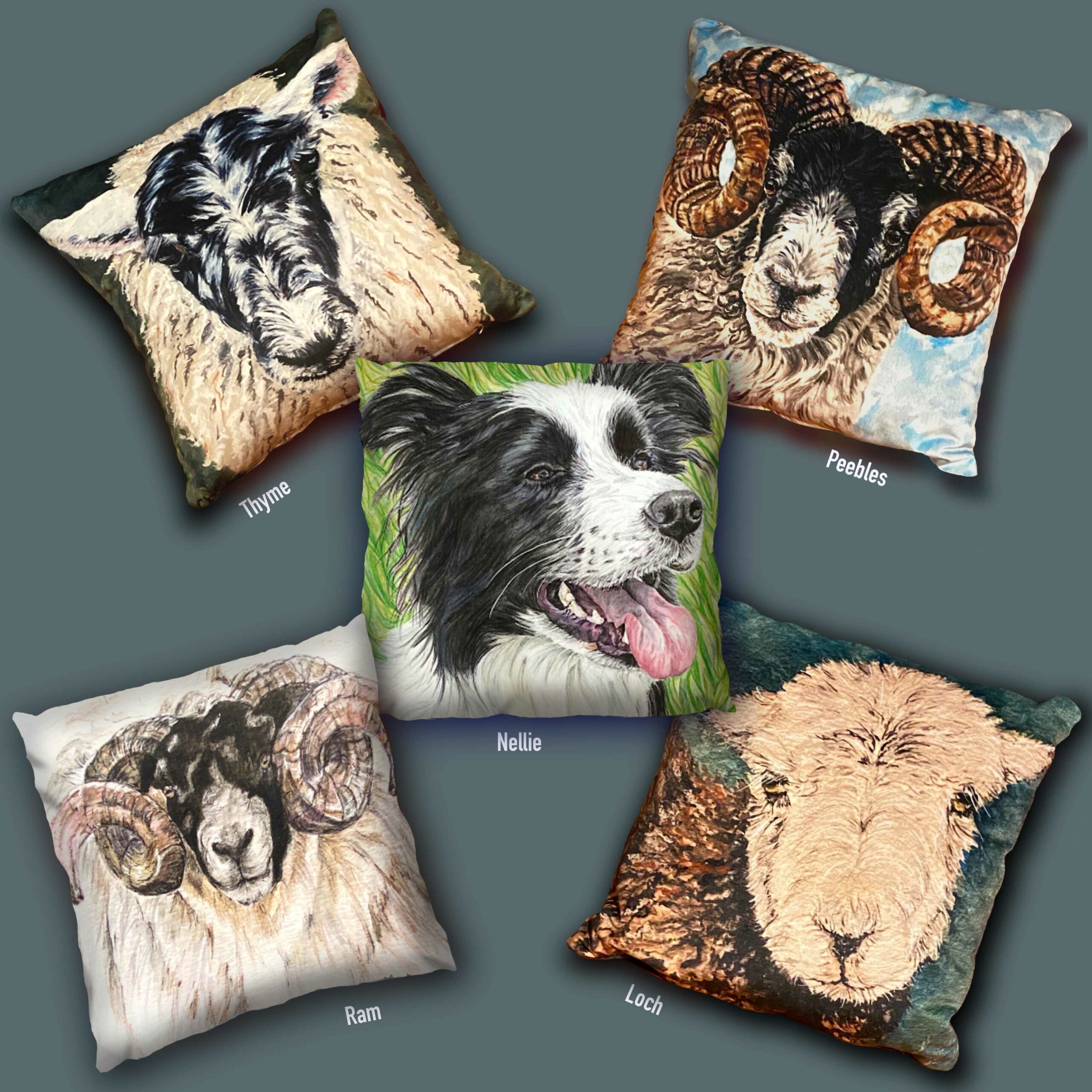 One picture with all 5 sheep cushions . Peebles, ram, loch, thyme and sheepdog