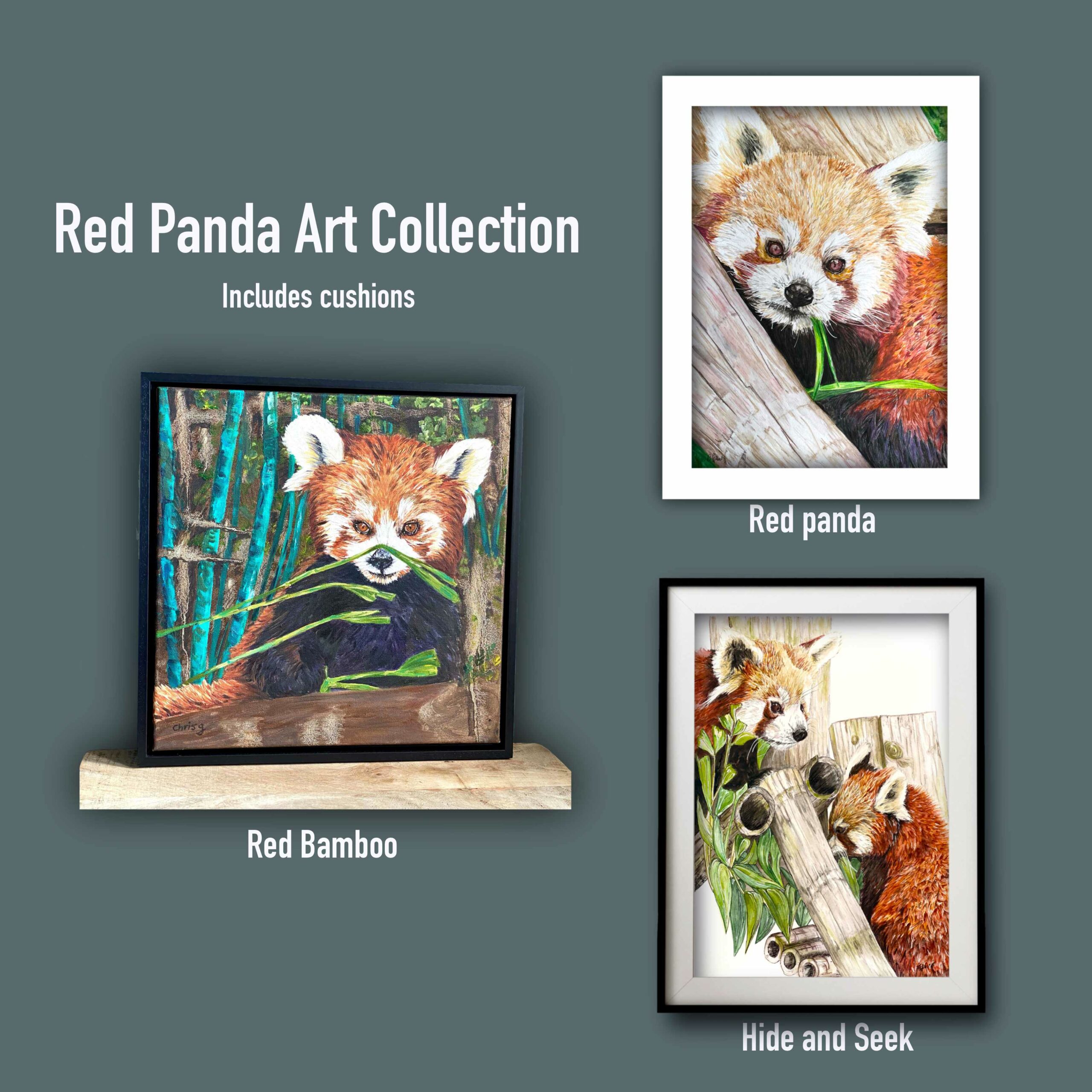 Decorative picture of the 3 red panda pictures