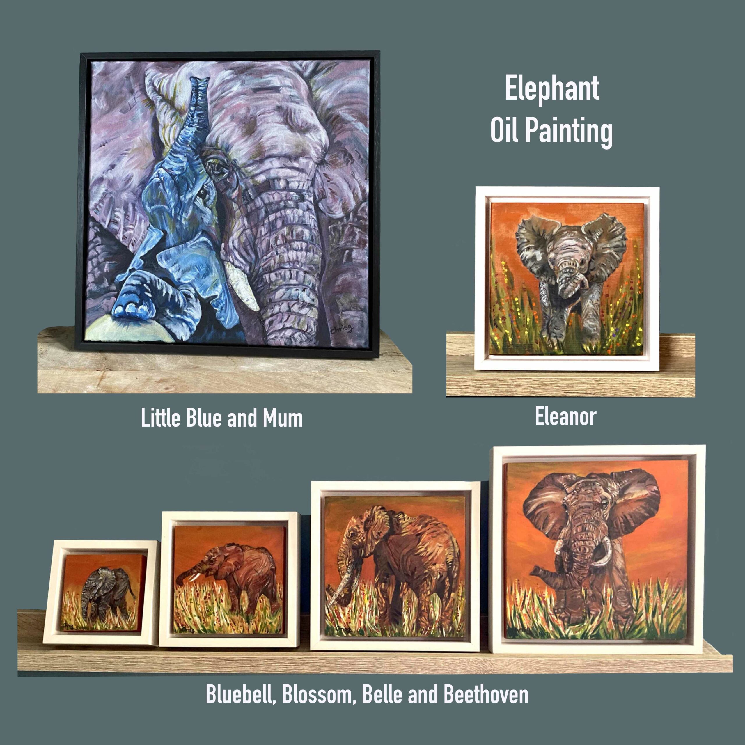 Collection of Elephant Oil paintings 