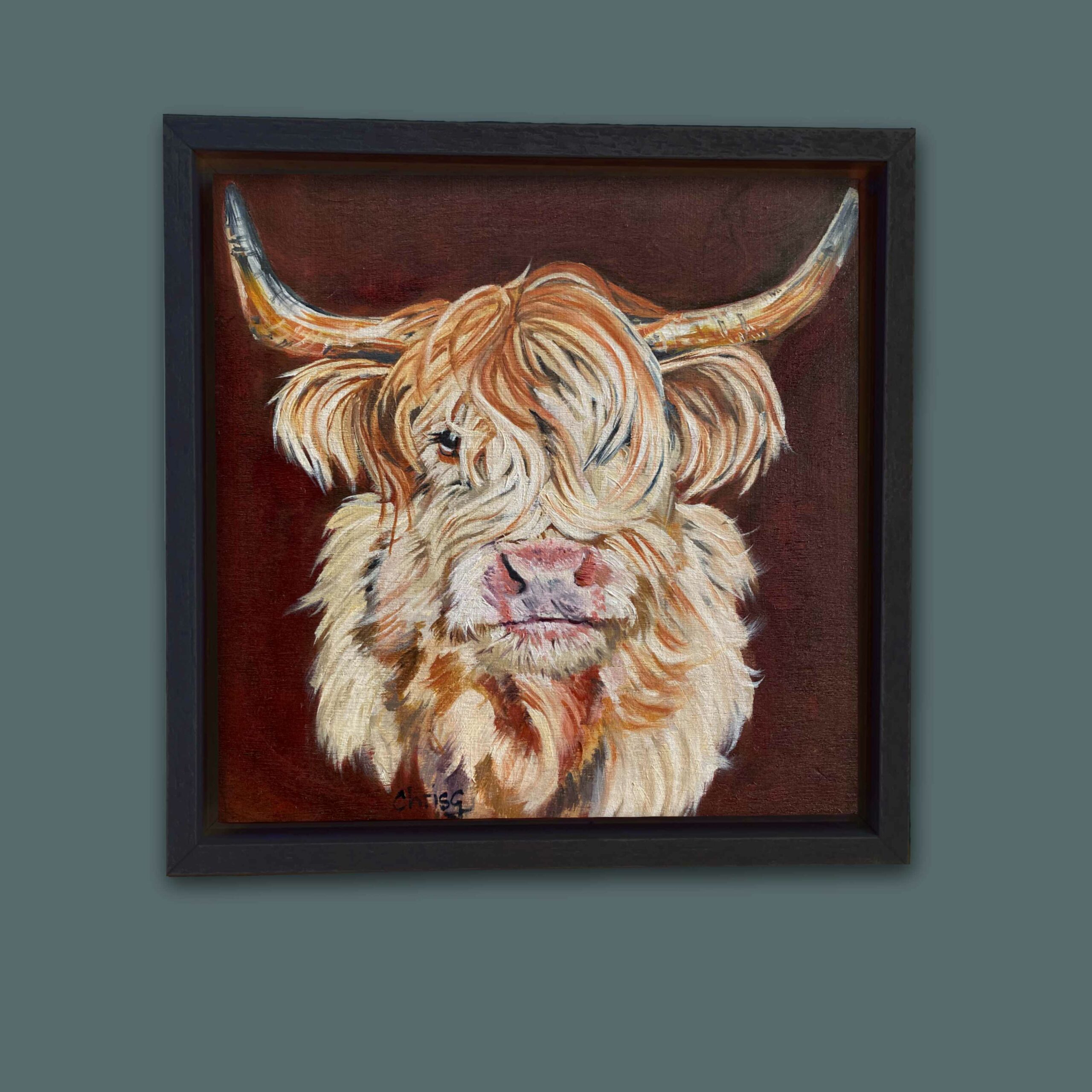 Canvas print of Rosie highland cow in a black floating frame