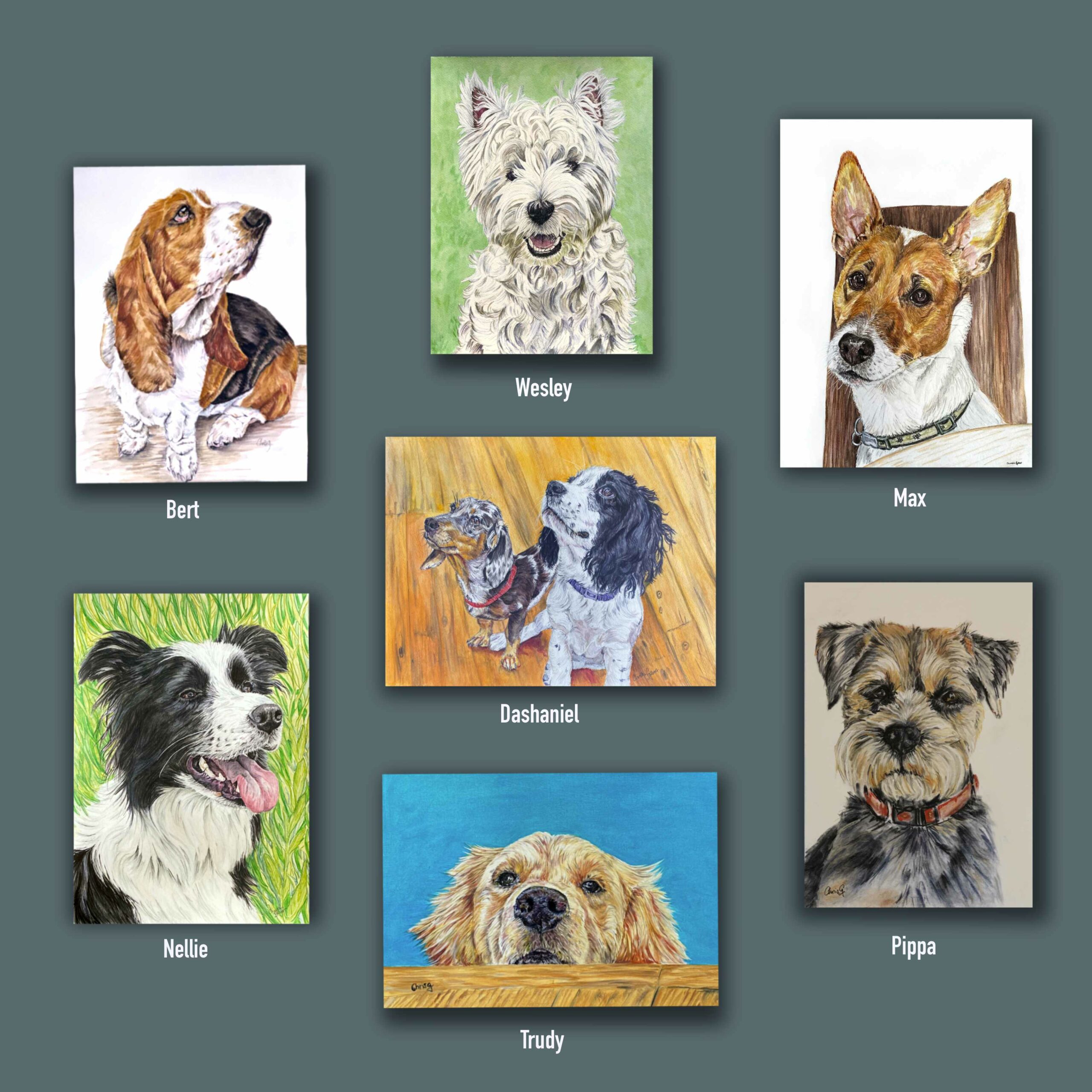 One picture with 7 individual Dog portraits.
Bert-Basset hound
Wesley-westie
Max-Jackrussel
Dashaniel-spaniel and dashound
Nellie-sheepdog
Trudy-Retriever
Pippa-wire haired terrier
