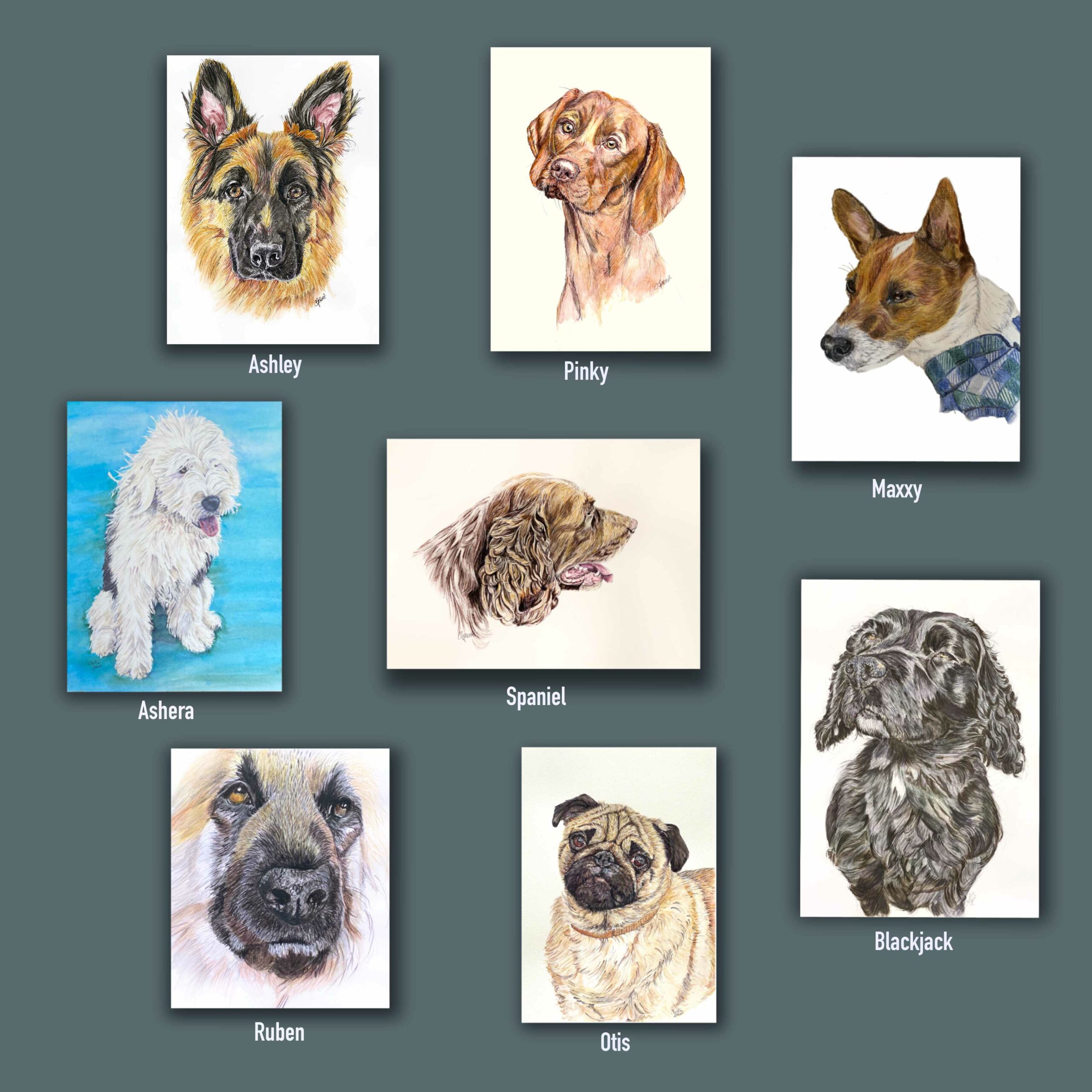 Picture showing 8 dog portraits. Pug-Otis, Maxxy-Jack Russel, black spaniel-blackjack,Ruben-German shepherd, Ashley-German shepherd, Ashera, old English sheepdog, Pinky Visla
