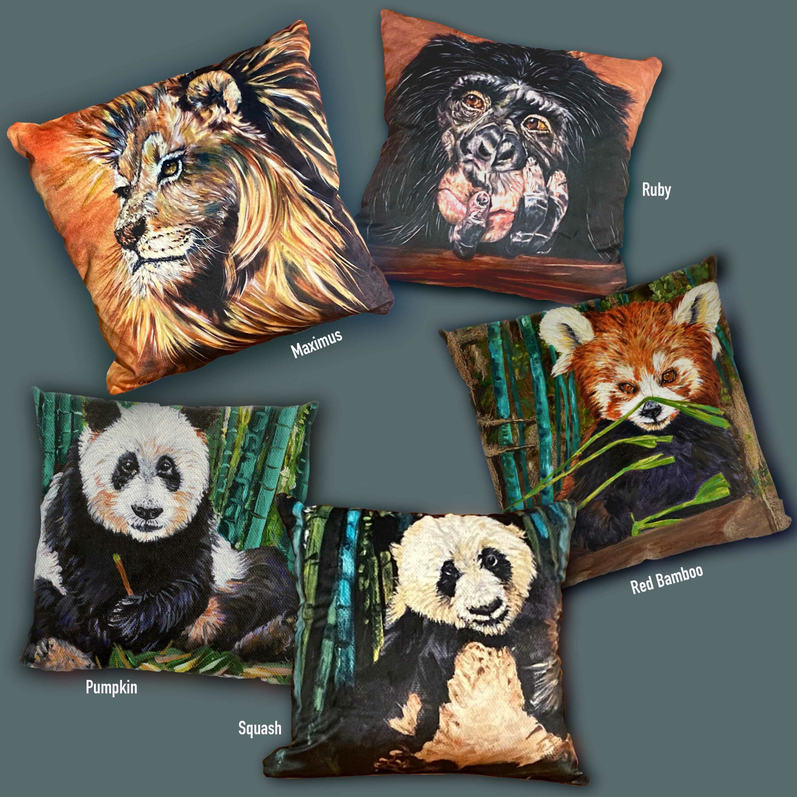 5 different animal print cushions. Giant panda pumpkin and squash. Red panda, lion maximus, and ruby chimp