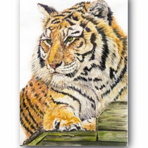 Tiger Art-Cleo-Original