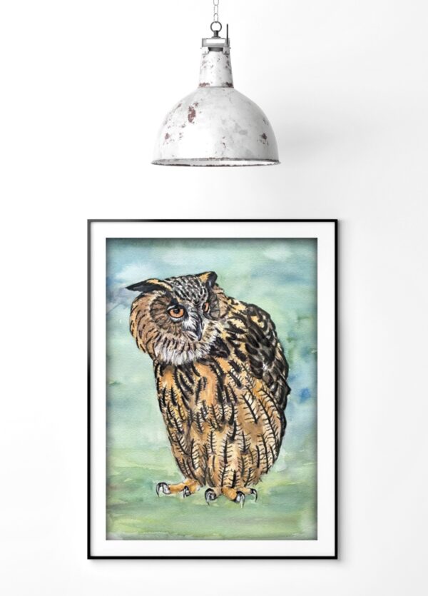 Owl Art Prints-“Ollie” - Image 2