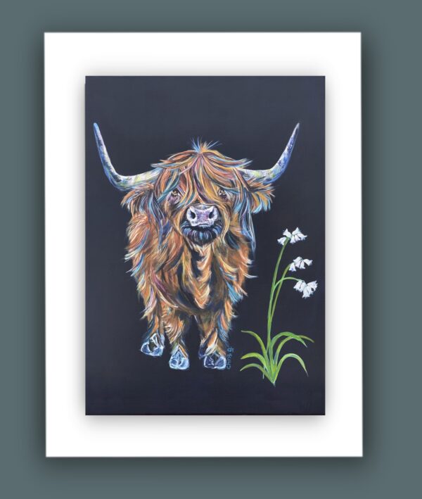 Highland Cow Painting-White Bluebell