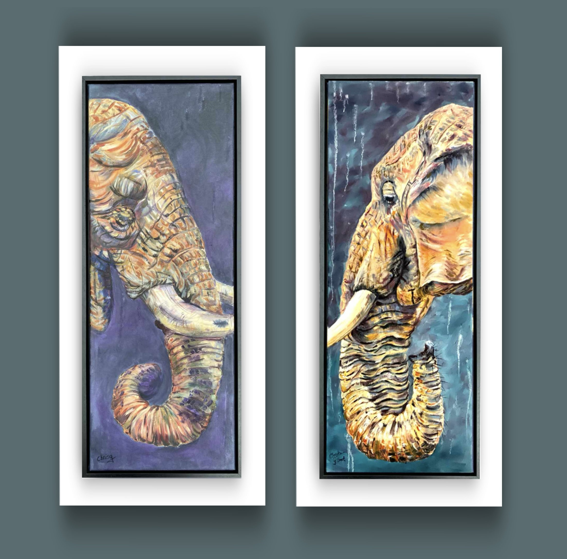 Two pieces of art that can hang together. Denim and Indigo are side on portraits of elephants . They are painted in oils after creating a textured layer painting giving the detail of the trunk  and smoothness of the tusks. 