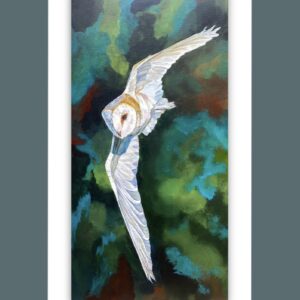 Barn Owl Art Prints - Wings of the Night