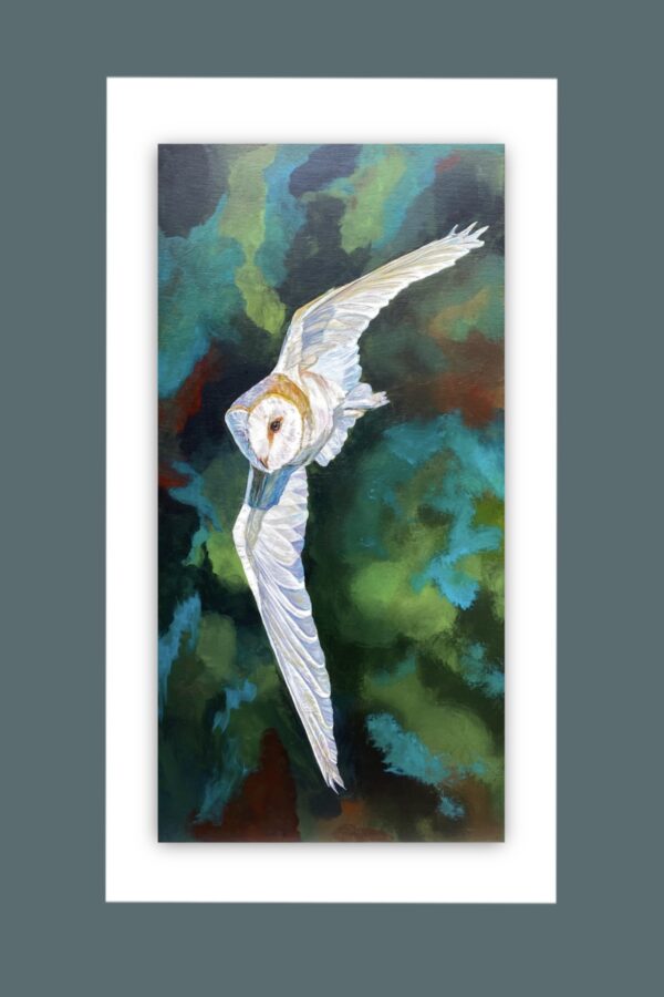 Barn Owl Art Prints - Wings of the Night