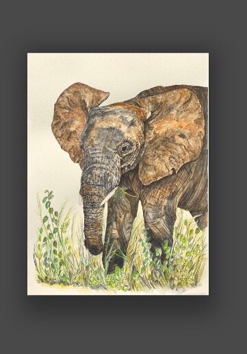 Young African elephant walking through the grass. 