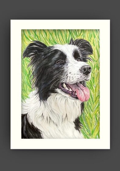 Nellie the boarder collie mounted print