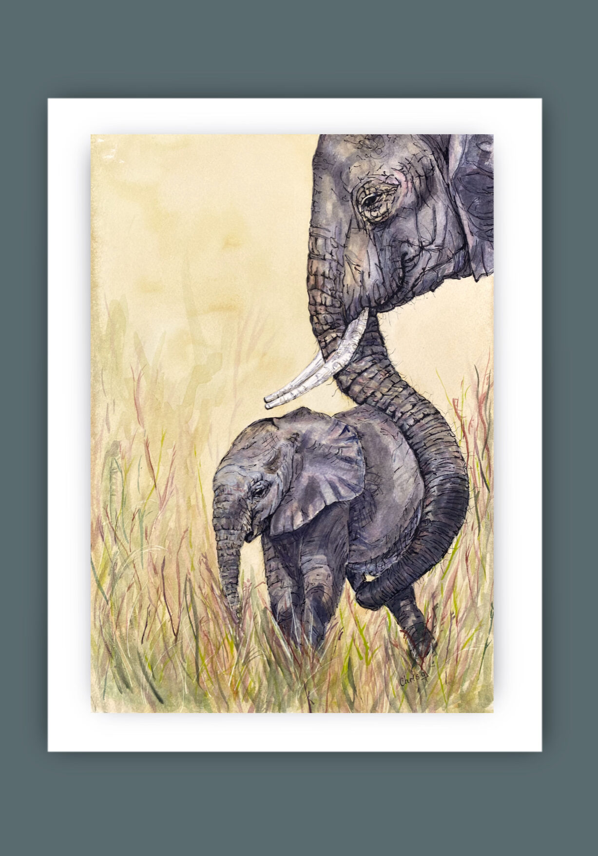 Young baby elephant with its mum helping it to stand . 
