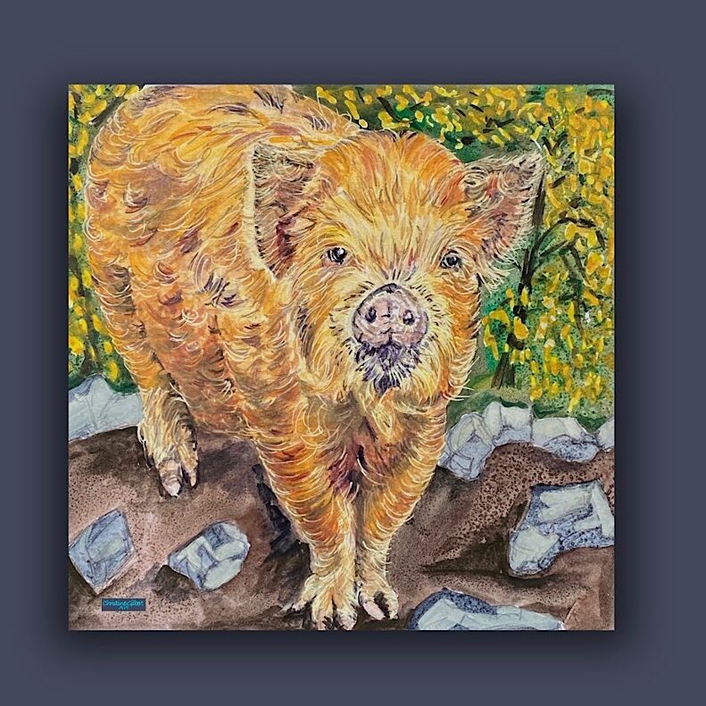A portrait of a ginger pig
