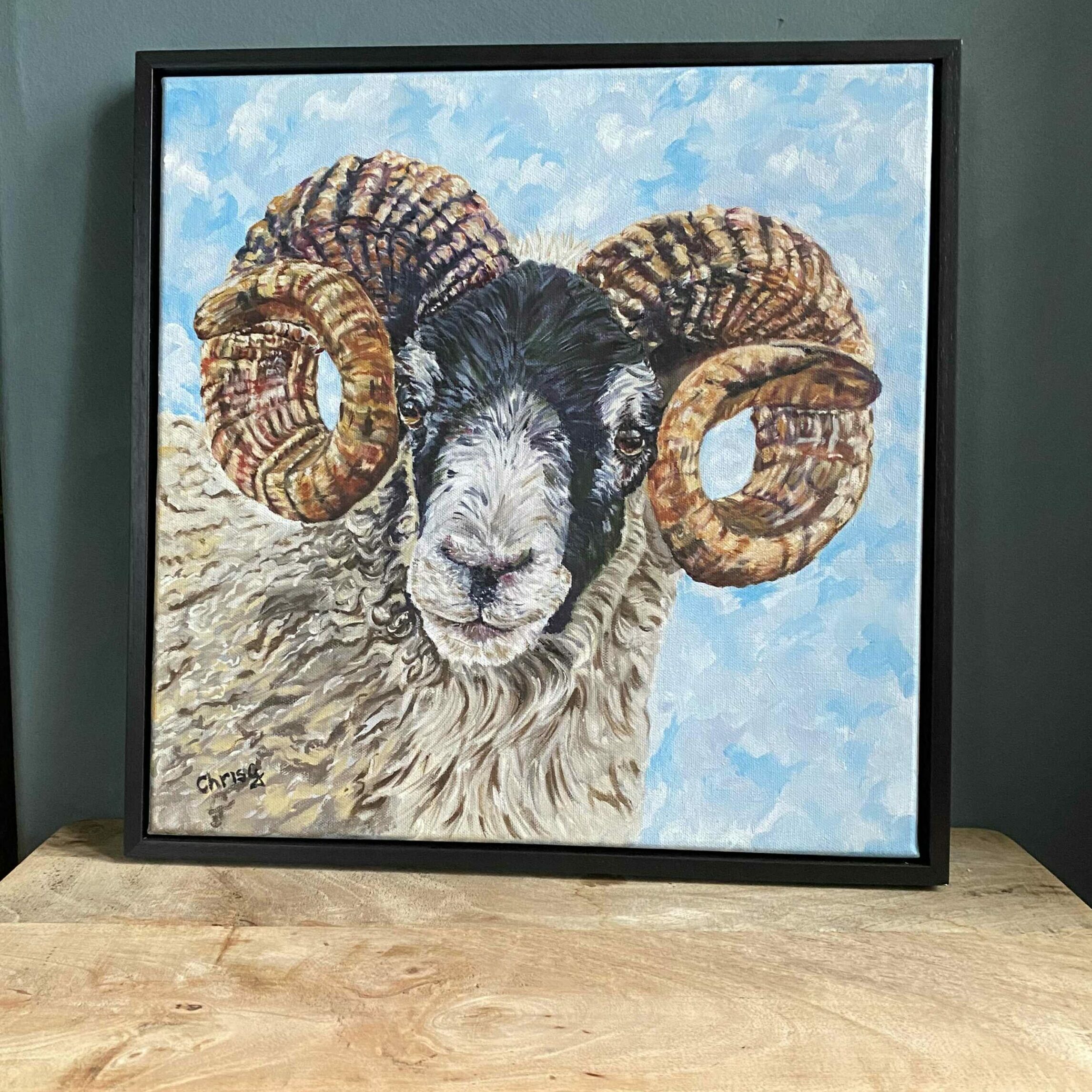 Black faced Ram with amazing full circle horns. Ona blue background 