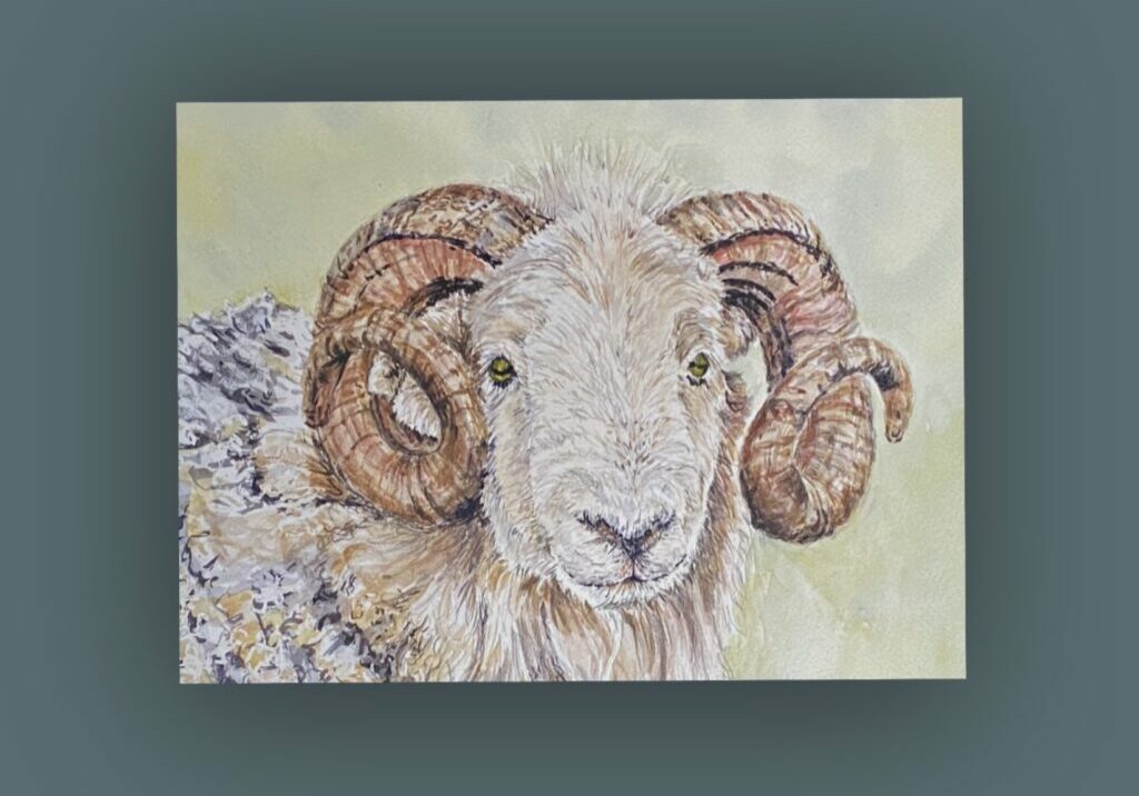 Roger Ram Herdwick unmounted print