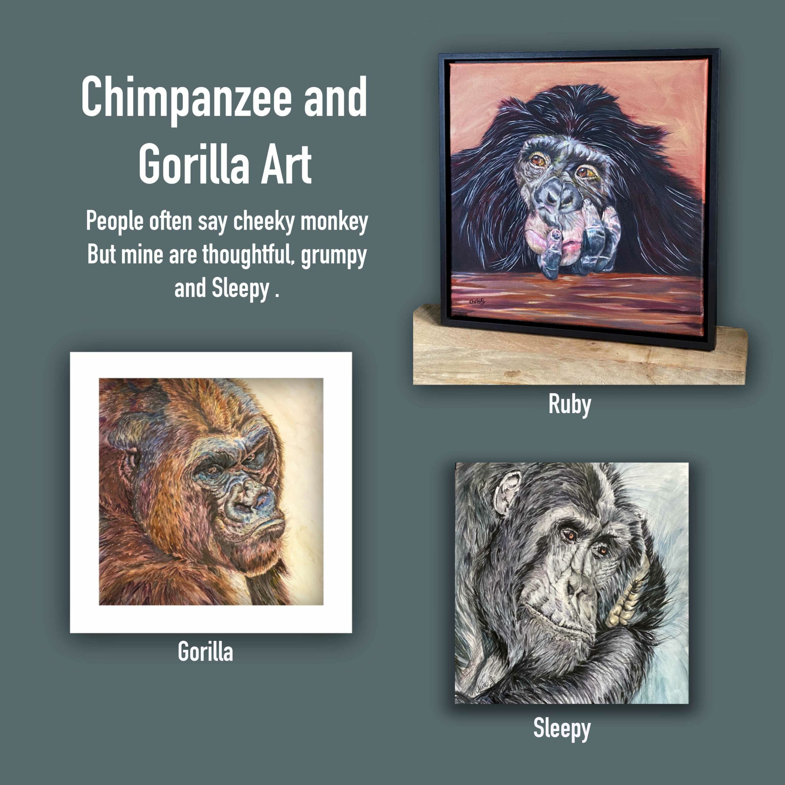 Picture of 3 pieces of artwork with chimpanzee and Gorilla