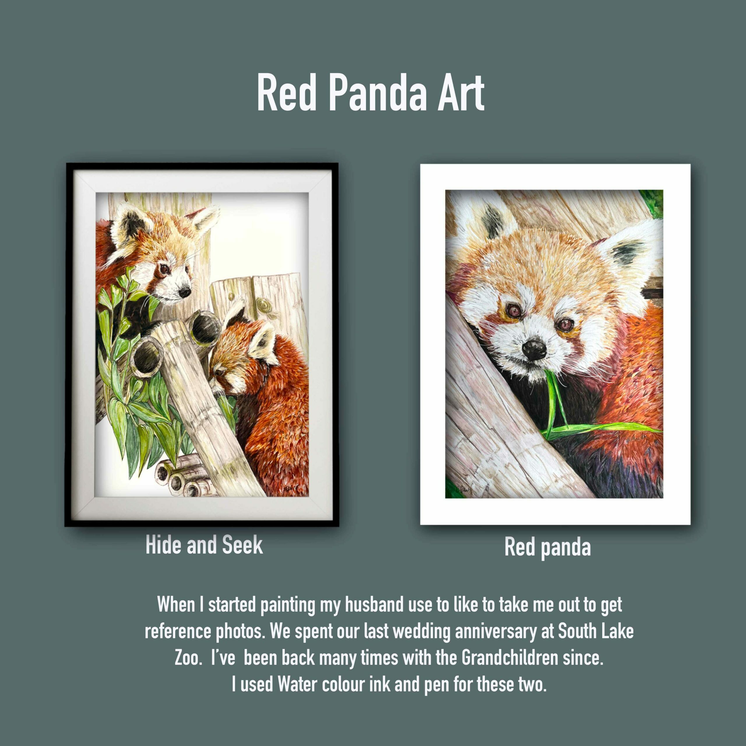 Two pieces of artwork 1. Red panda portrait 
2. Two red pandas playing “hide and seek”