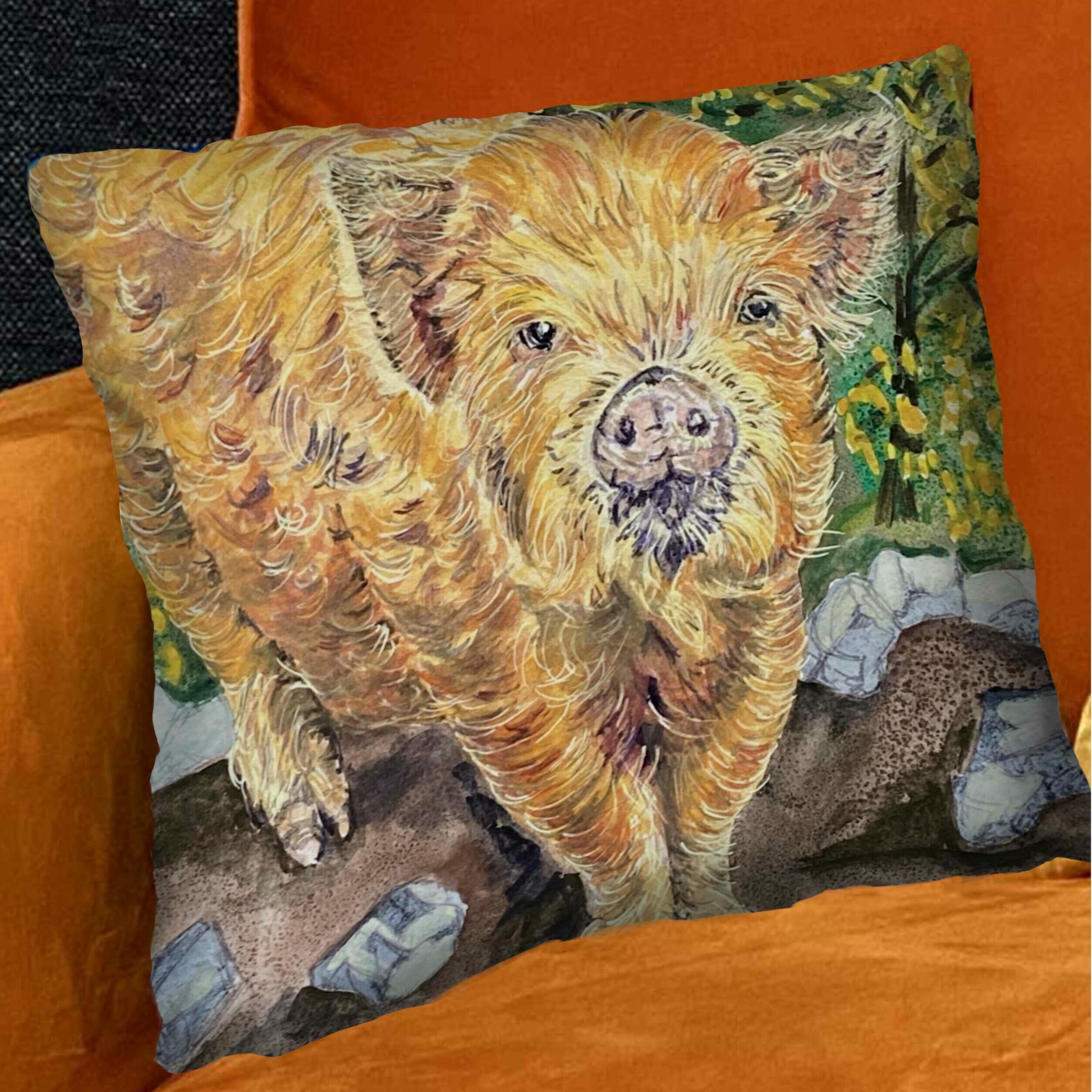 Ginger pig cushion on an orange sofa