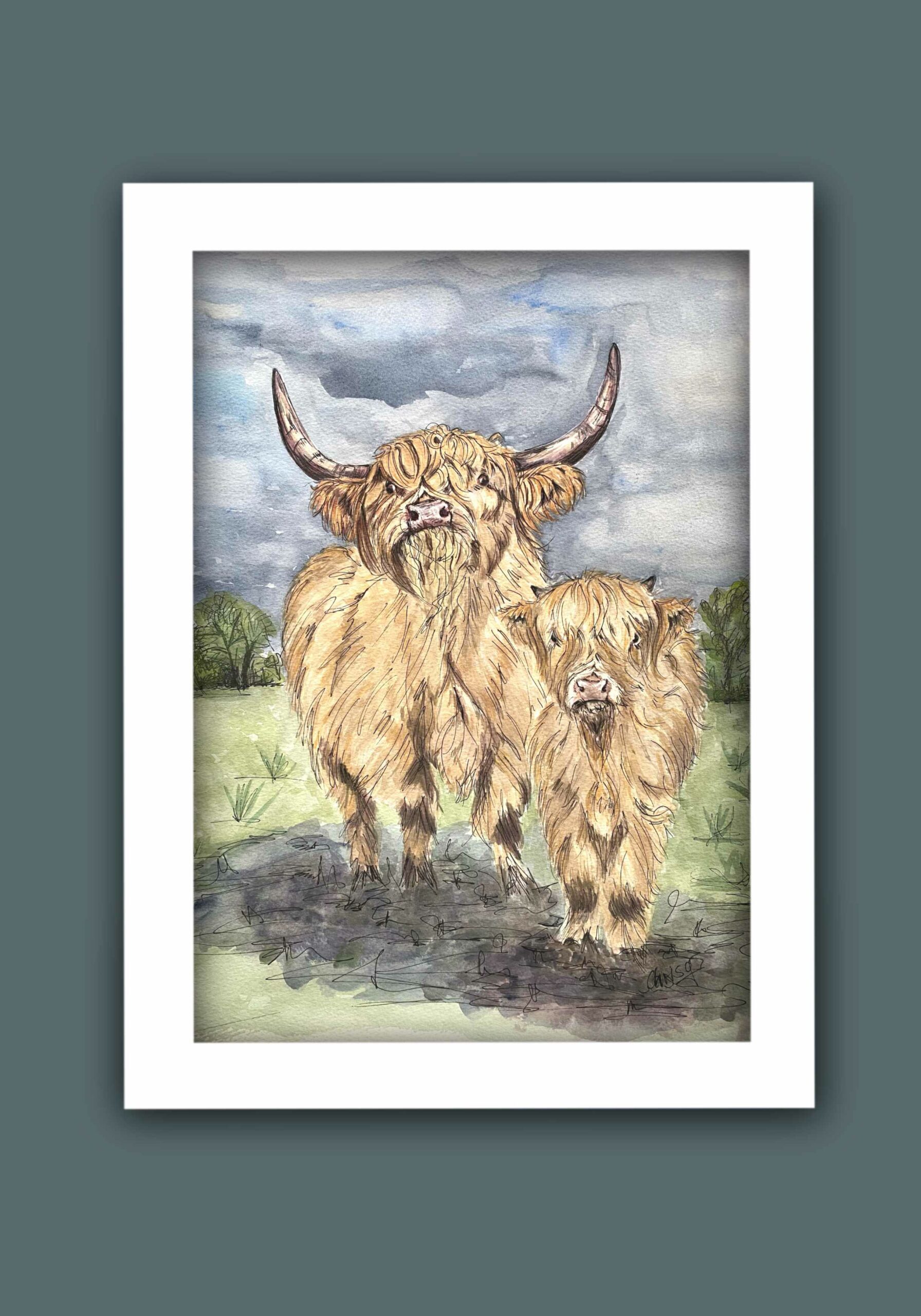 Highland cow and her calf. Watercolour and pen painting
