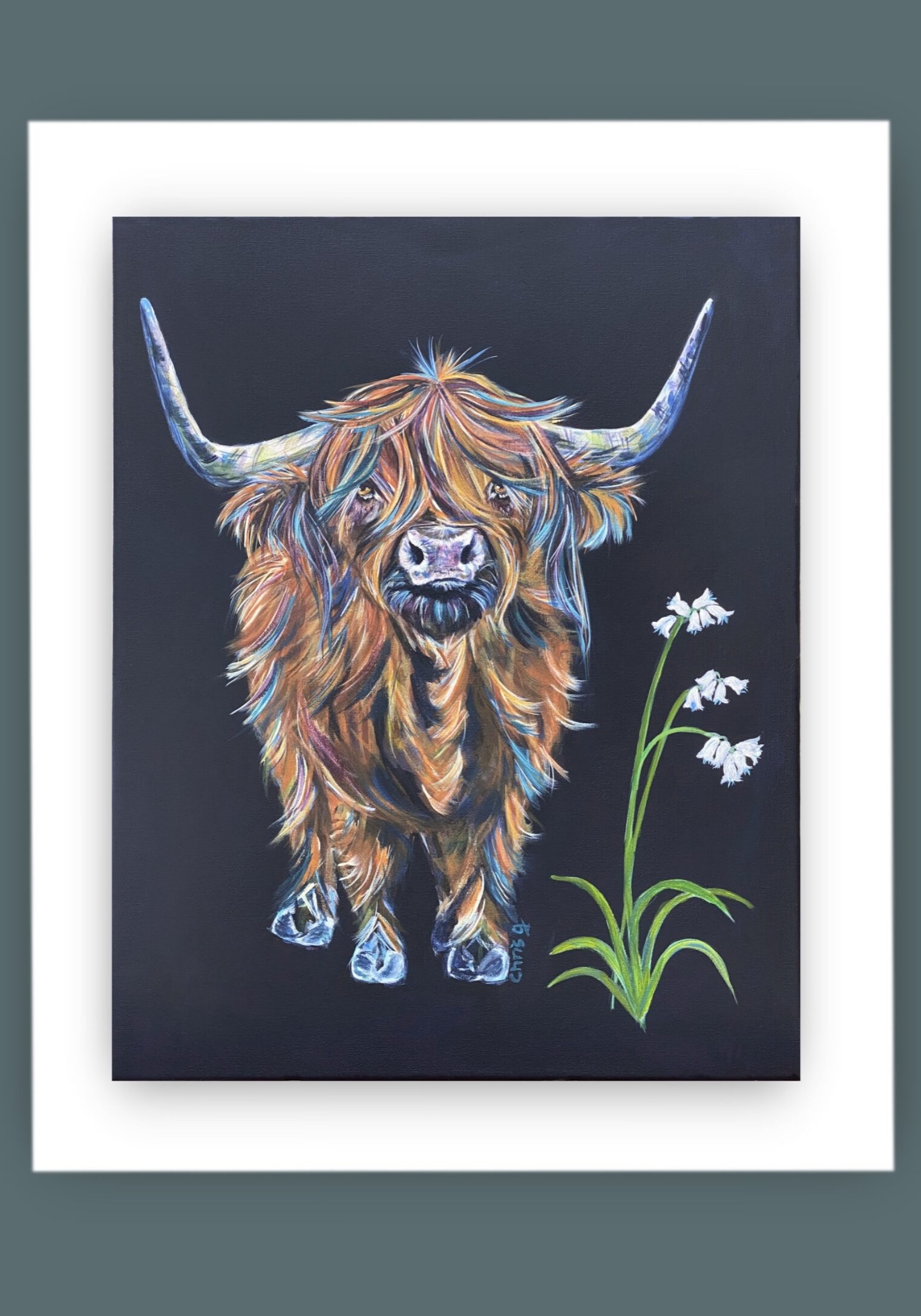 Highland cow original with blue highlights. Full  body walking towards you