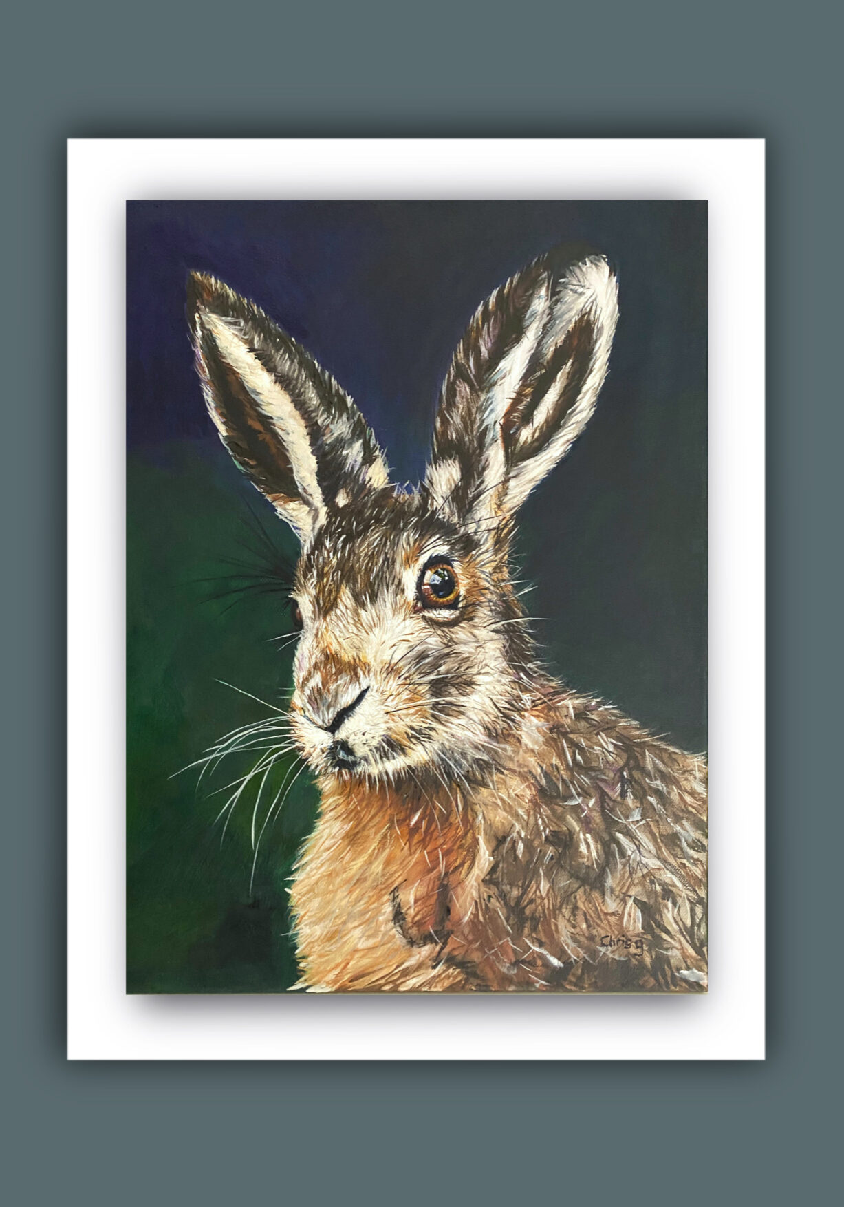 Hare portrait side on . In oils on a dark green background .