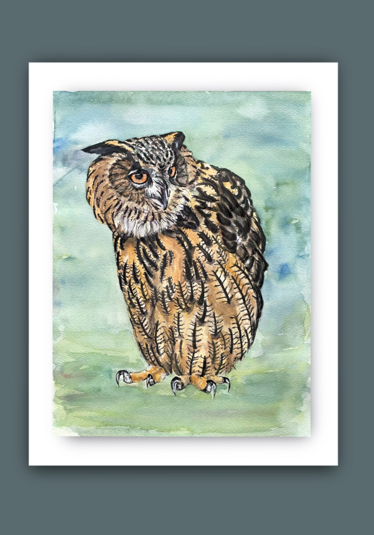 Owl with his head turned to the right. Watercolour and inks on paper.