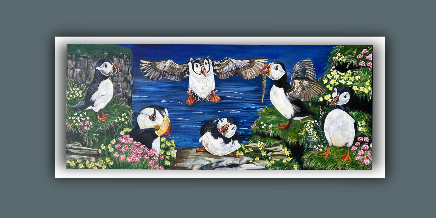 Fun compilation of puffins on a coastline influenced by the north east coast of Scotland. 