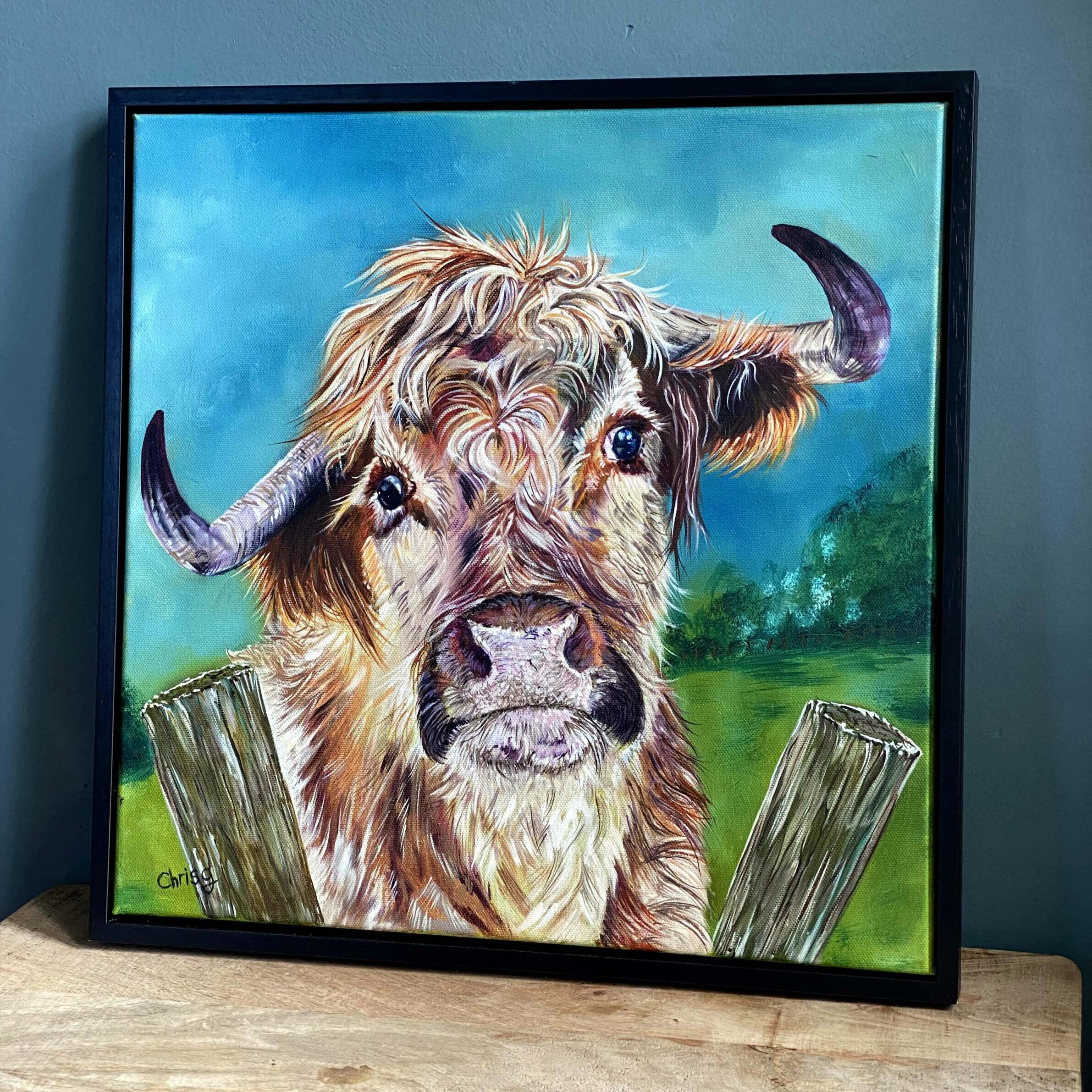 Fluff is a highland bullock. The original artwork is an oil painting 