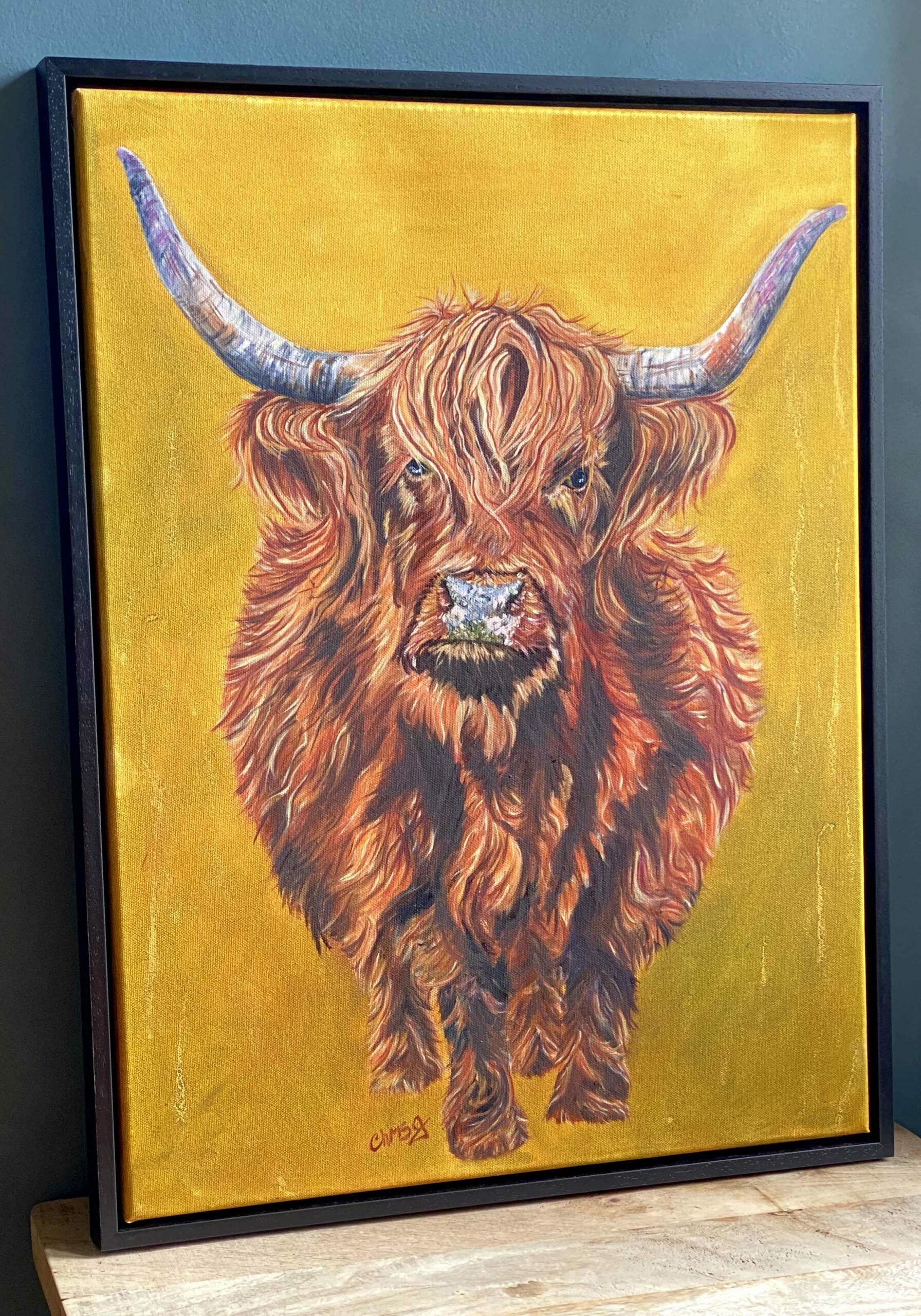 Harriet is a big highland cow full cow in oils rust to brown the background in a bold bright mustard colour